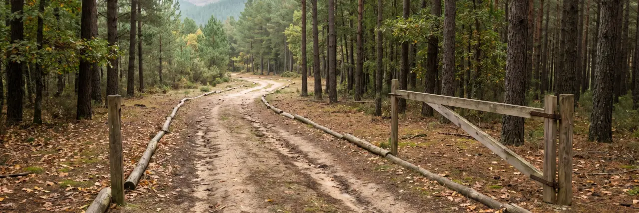 Pista forestal que entra en un pinar, junto a una barrera de madera