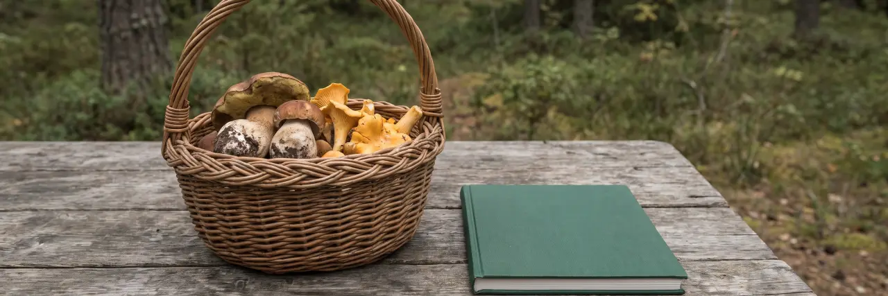 Cesta con boletos y rebozuelos sobre una mesa de madera junto al bosque